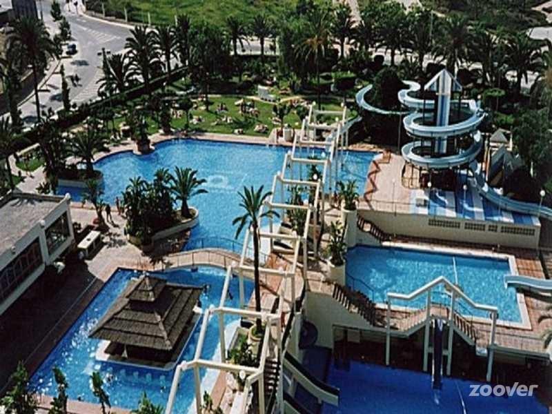 Apartment Benalbeach Sea Front